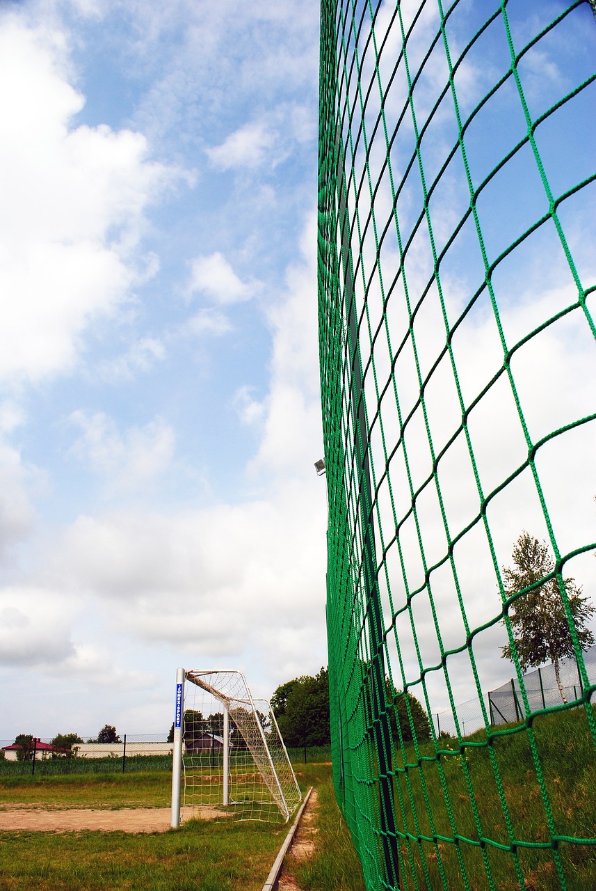 这一点在季 这一点在季