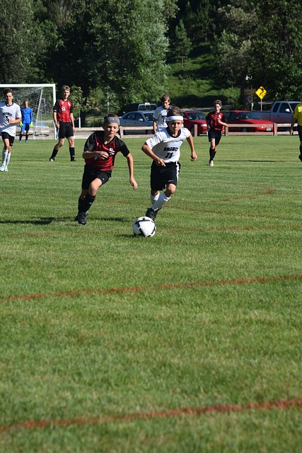 不少年轻球 不少年轻球