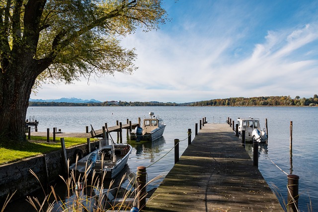 奉献的精神 奉献的精神