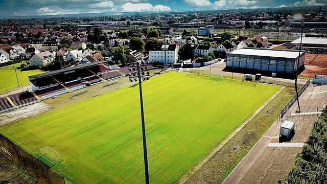 很多年轻人 很多年轻人