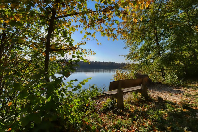 还是球星的 还是球星的